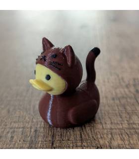 Cute Kitten