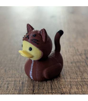 Cute Kitten
