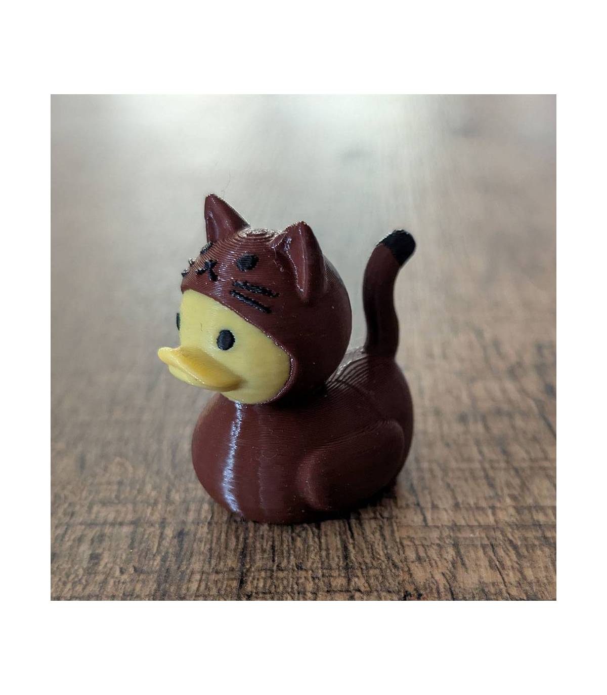Cute Kitten