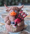 Highland Cow