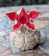 Demogorgon
