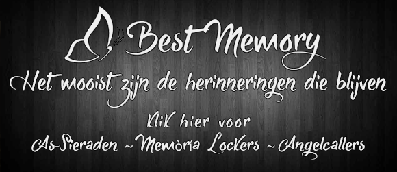 bestmemory.nl